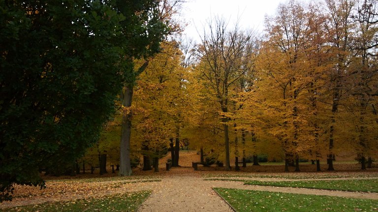 Podzim v parku.jpg