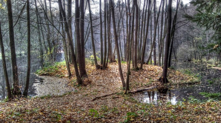 Tvrziště Hluboká HDR.jpg