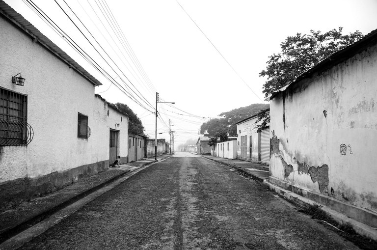 T01.jpg
