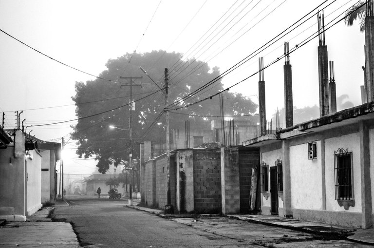 T09.jpg