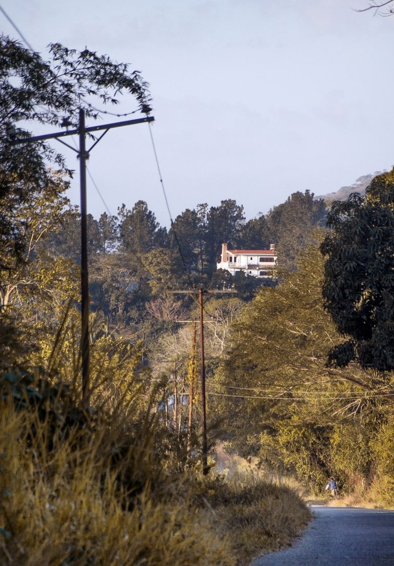 T06.jpg