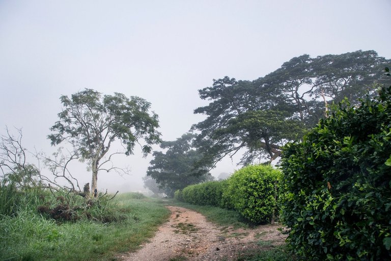 T12.jpg