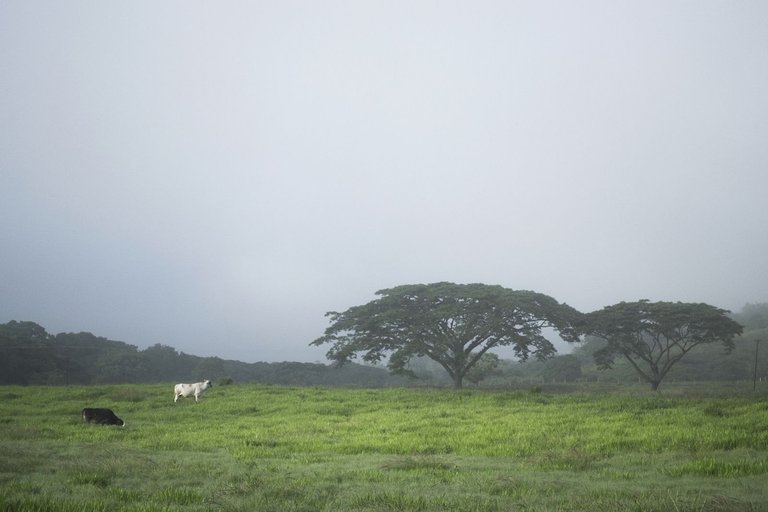 T01.jpg