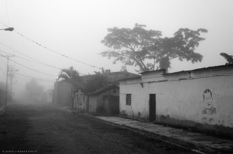 _JLP4769.jpg
