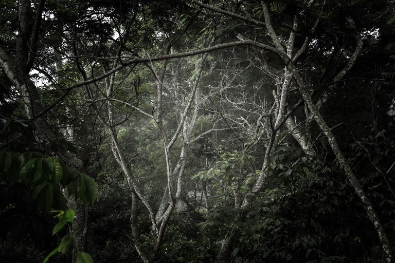 C02.jpg