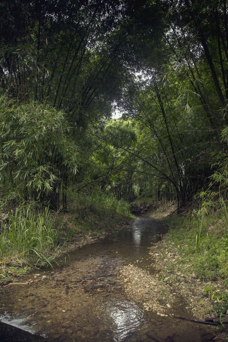C06.jpg