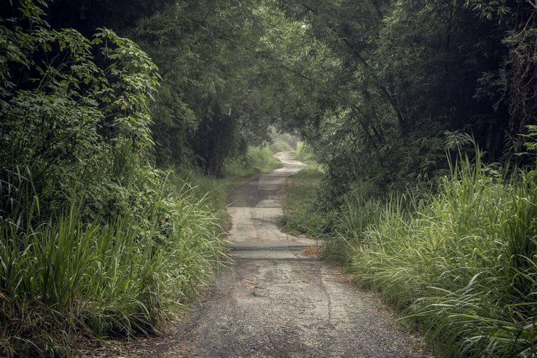 C05.jpg