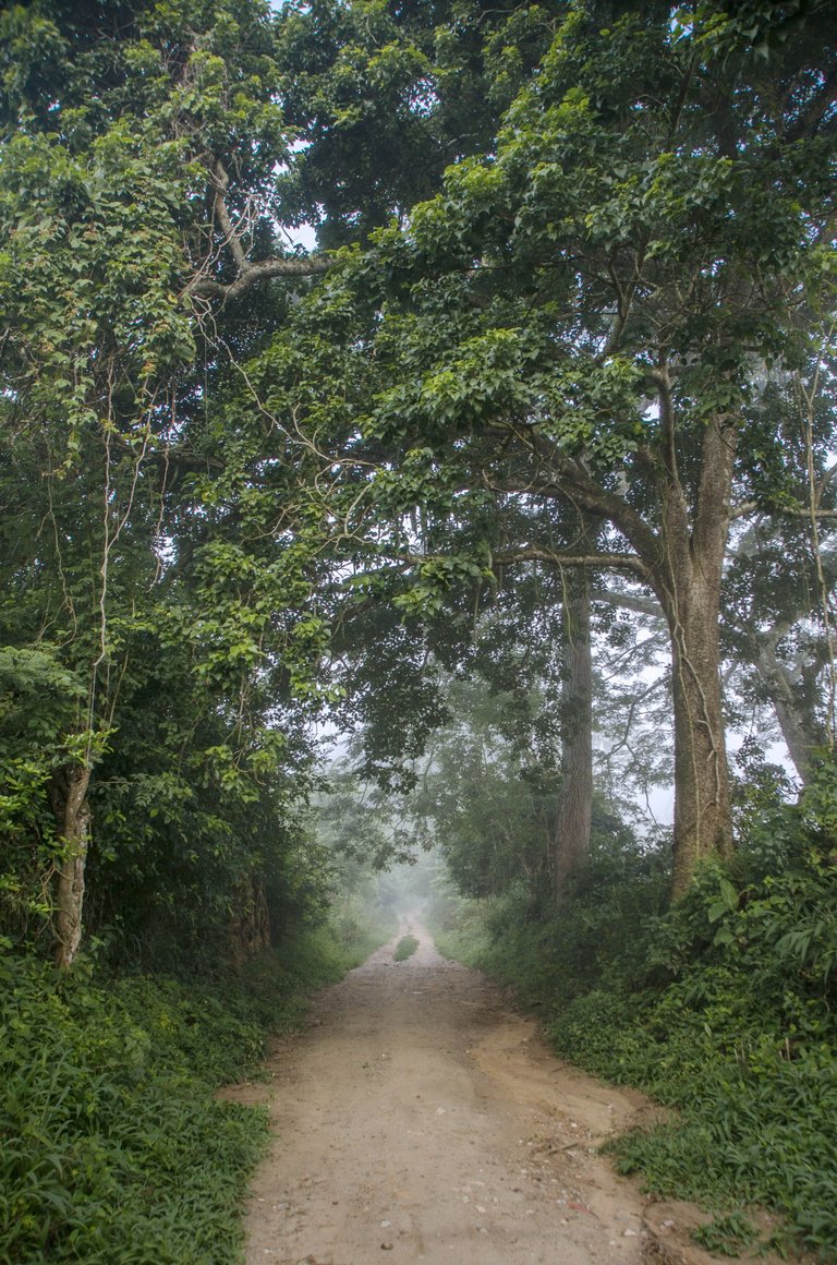 T09.jpg
