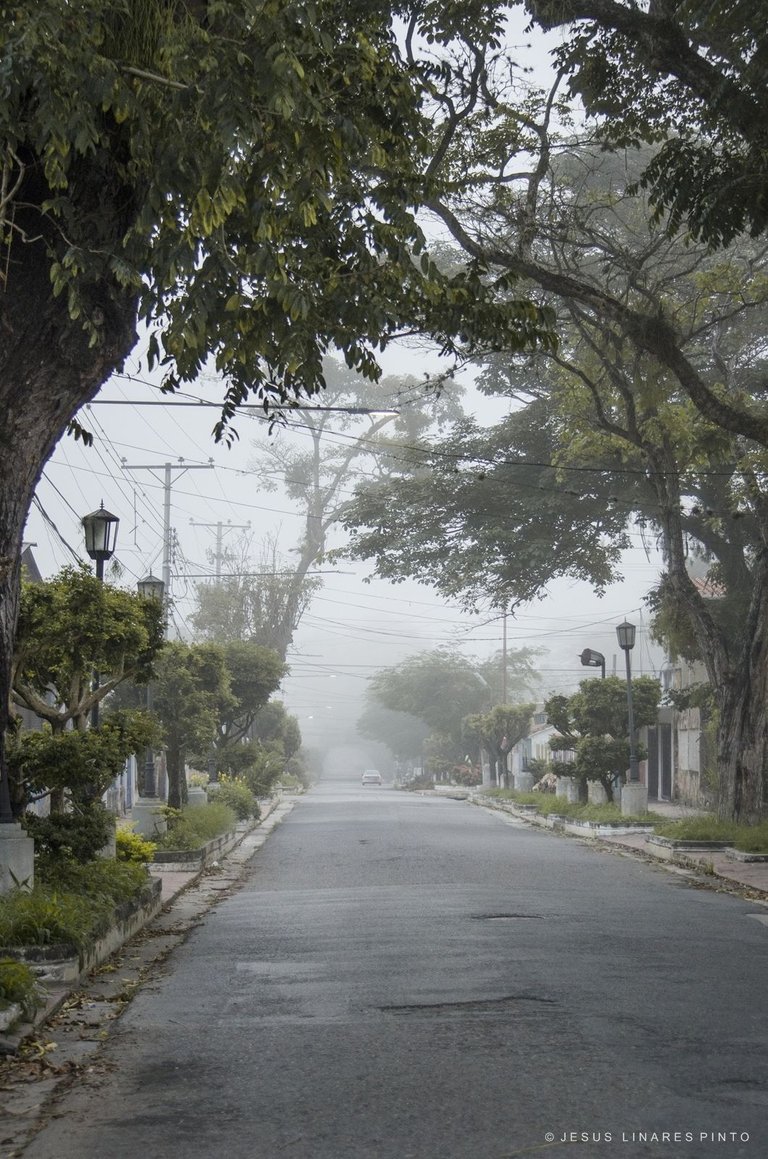 _JLP2509.jpg
