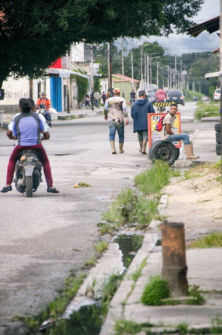 C06.jpg