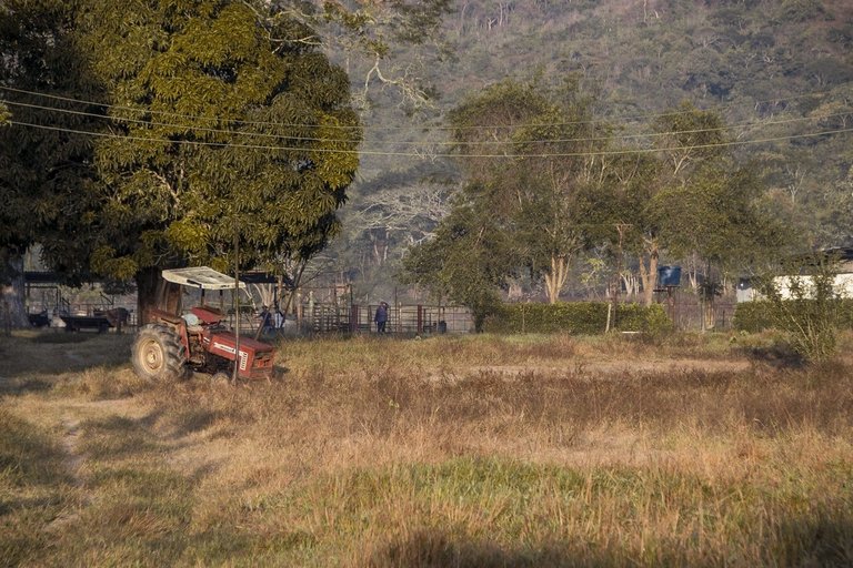 T02.jpg