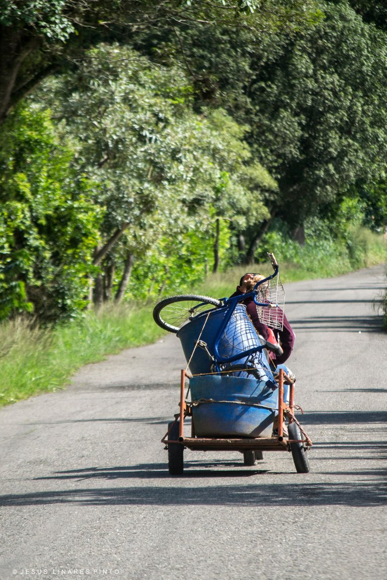 _DSC7404.jpg