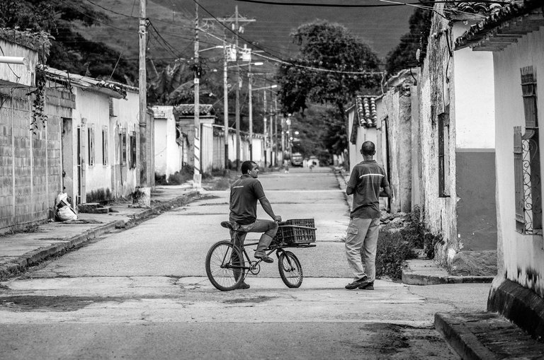 C06.jpg
