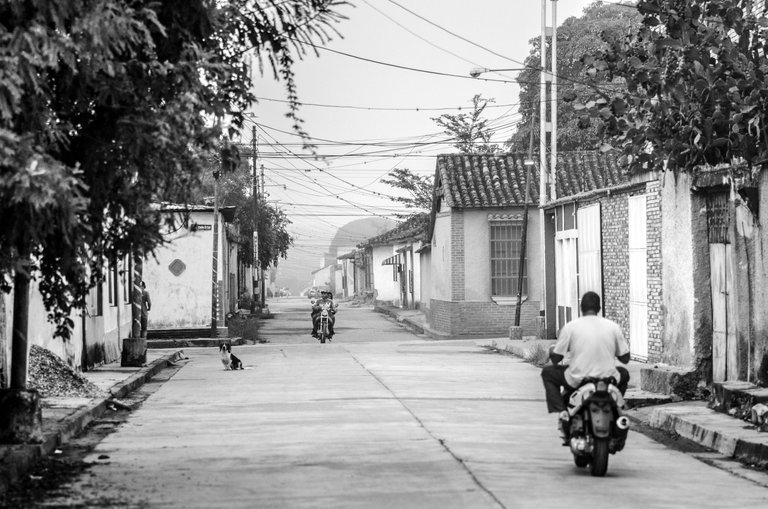 T08.jpg