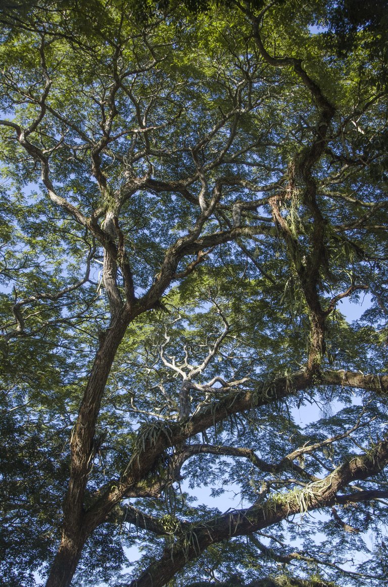 _JLP2500.jpg