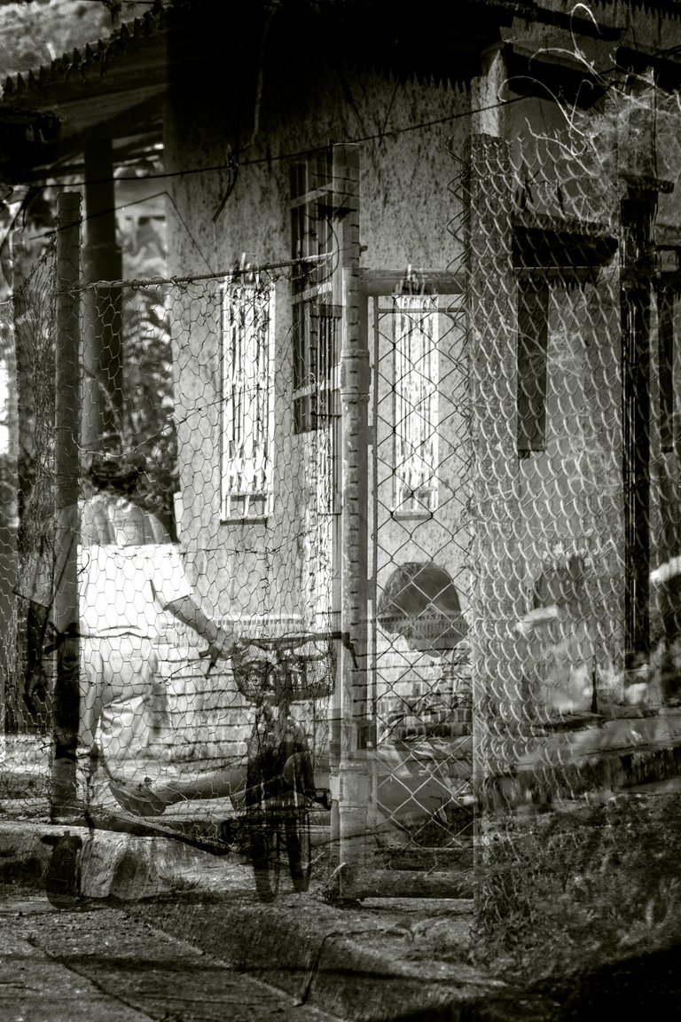 D02.jpg