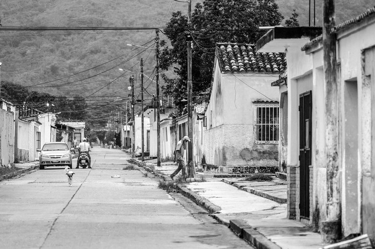 C06.jpg