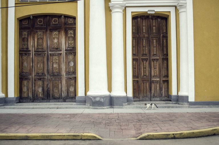 C04.jpg