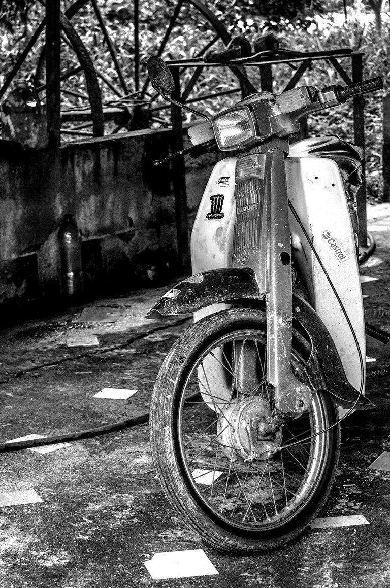 T05.jpg