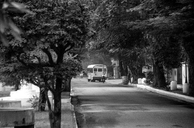 T09.jpg