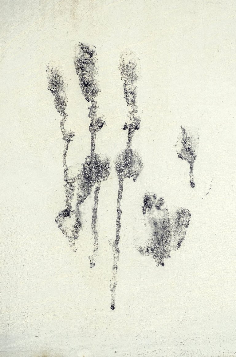 T06.jpg