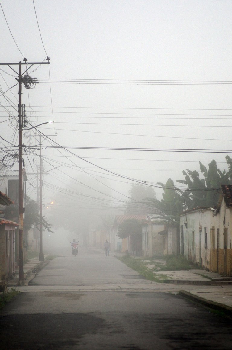 T06.jpg