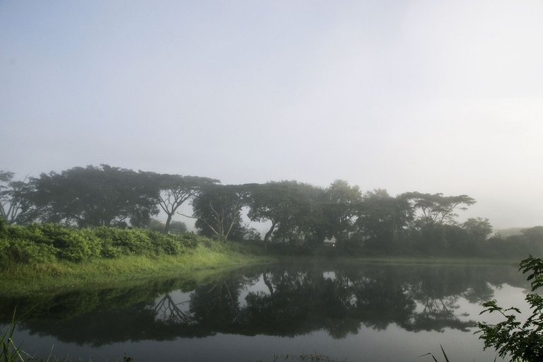 T05.jpg
