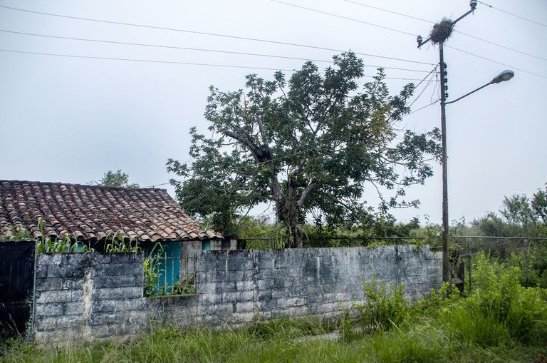 T06.jpg