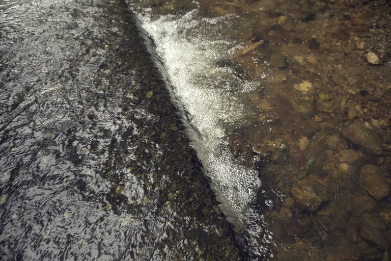 C07.jpg