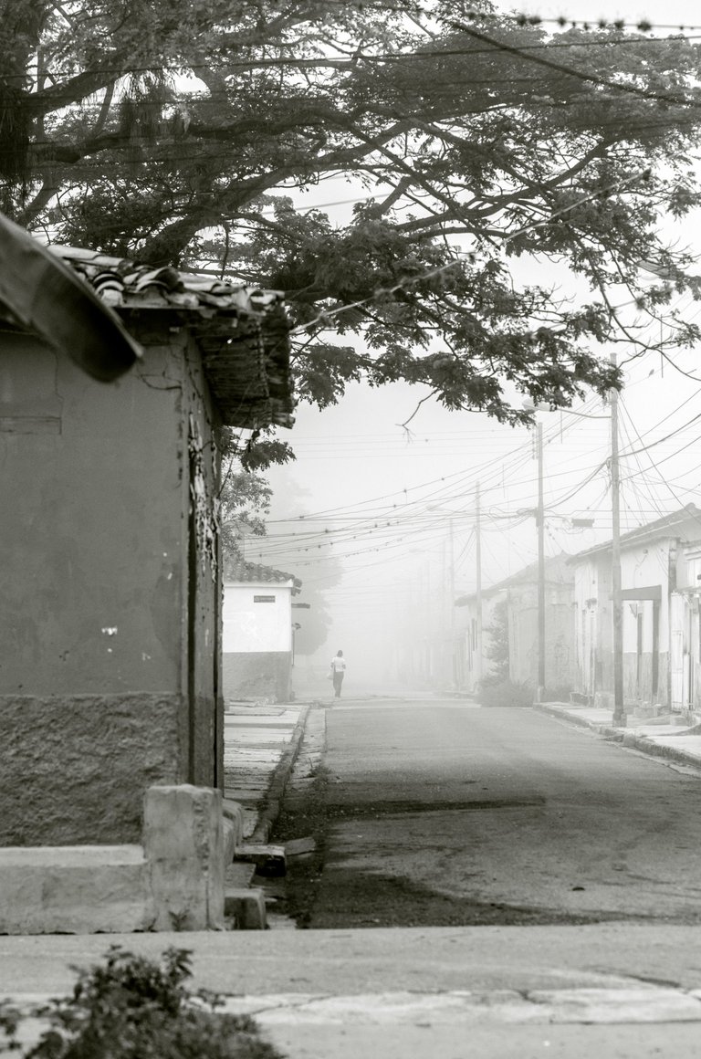 C02.jpg