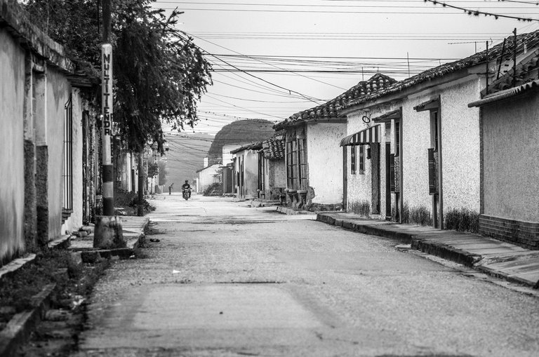 C03.jpg