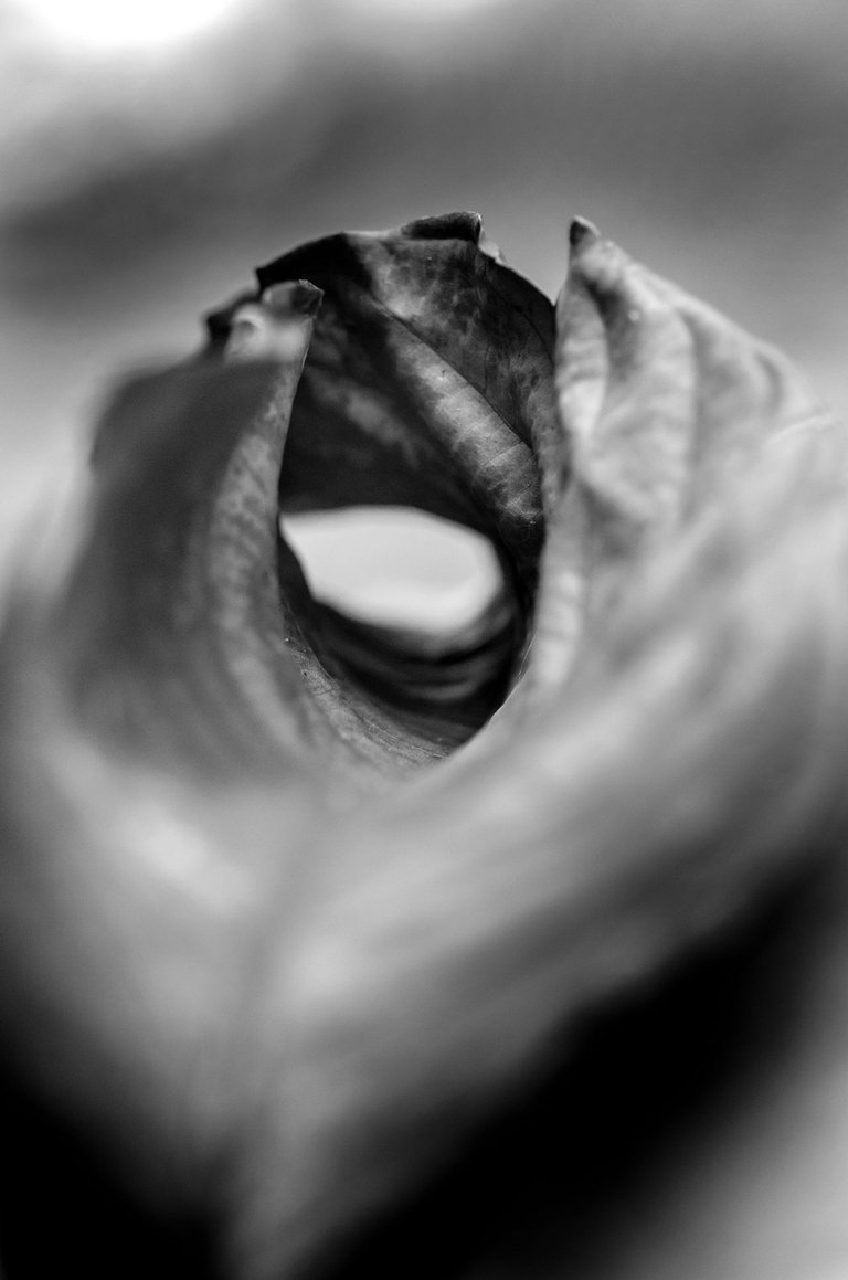 T04.jpg