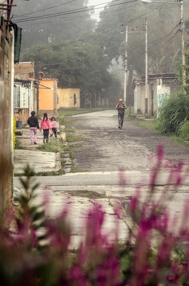 C07.jpg