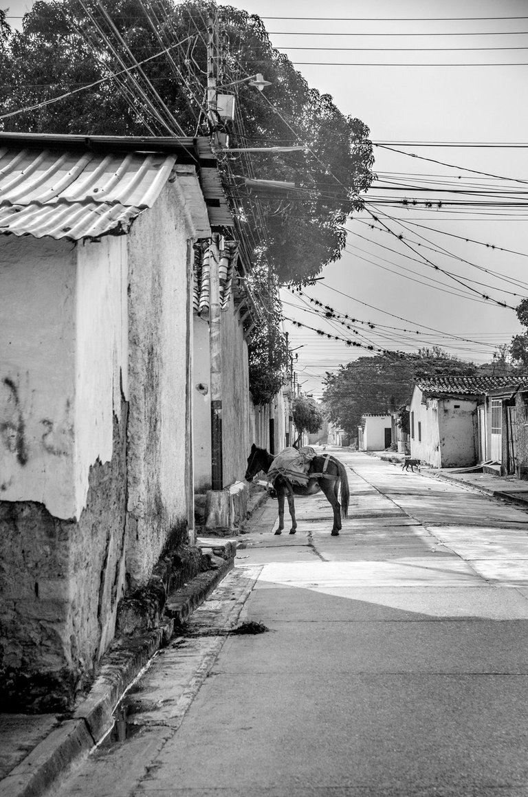 C09.jpg