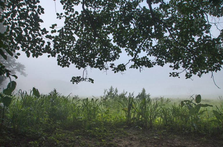 T04.jpg