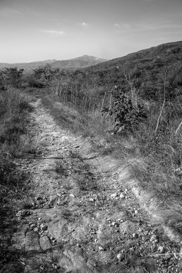 R01.jpg