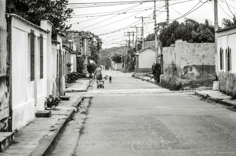 _JLP5579.jpg