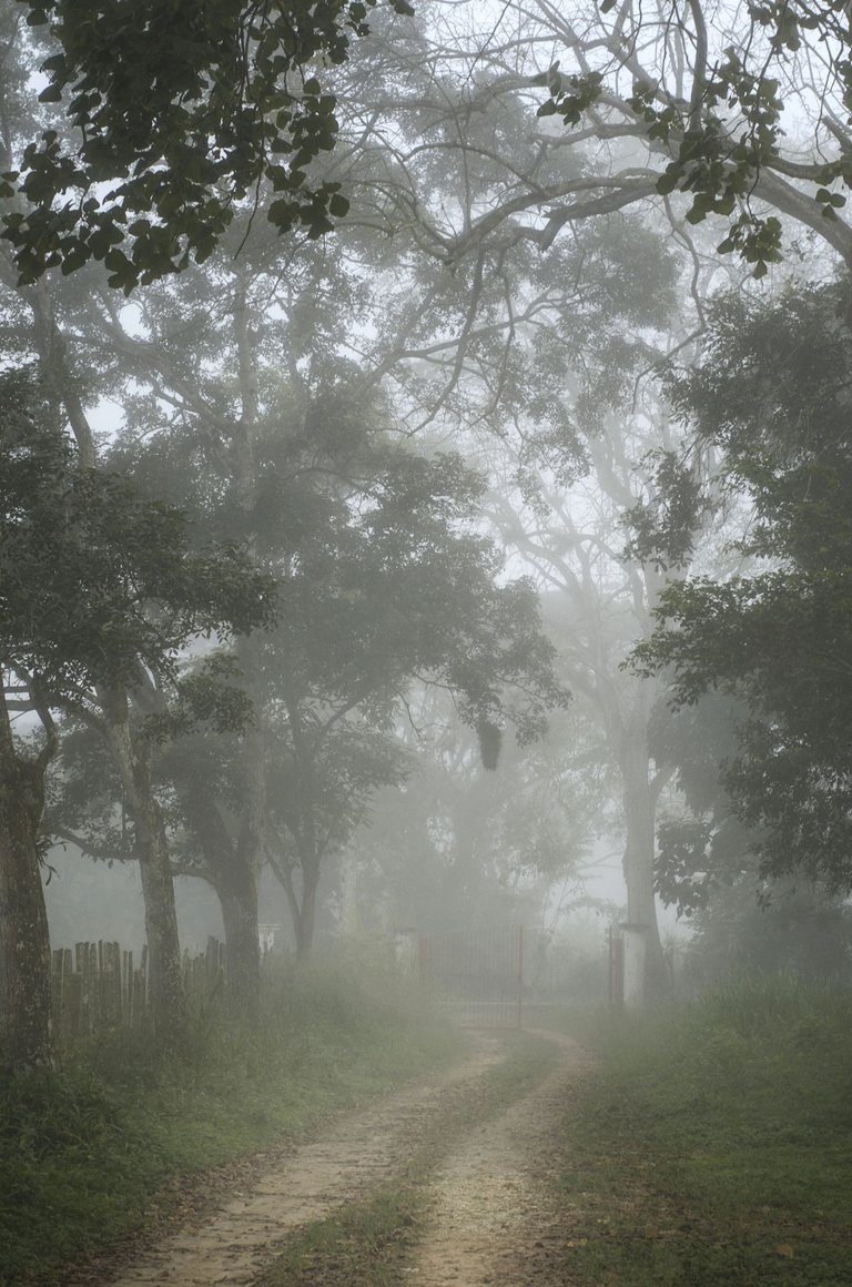 T08.jpg
