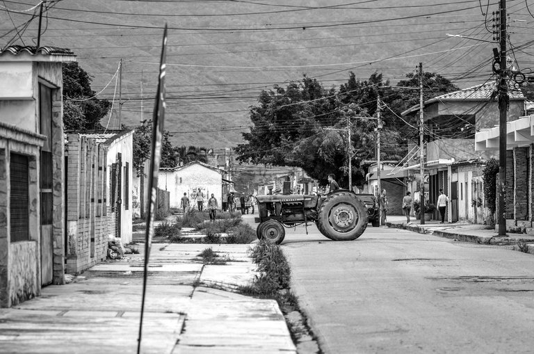 C08.jpg