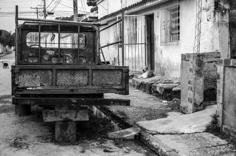 T05.jpg