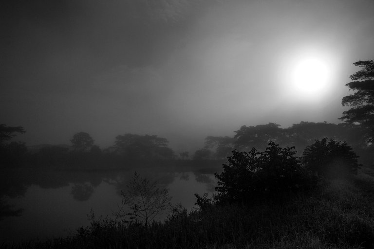 V04.jpg