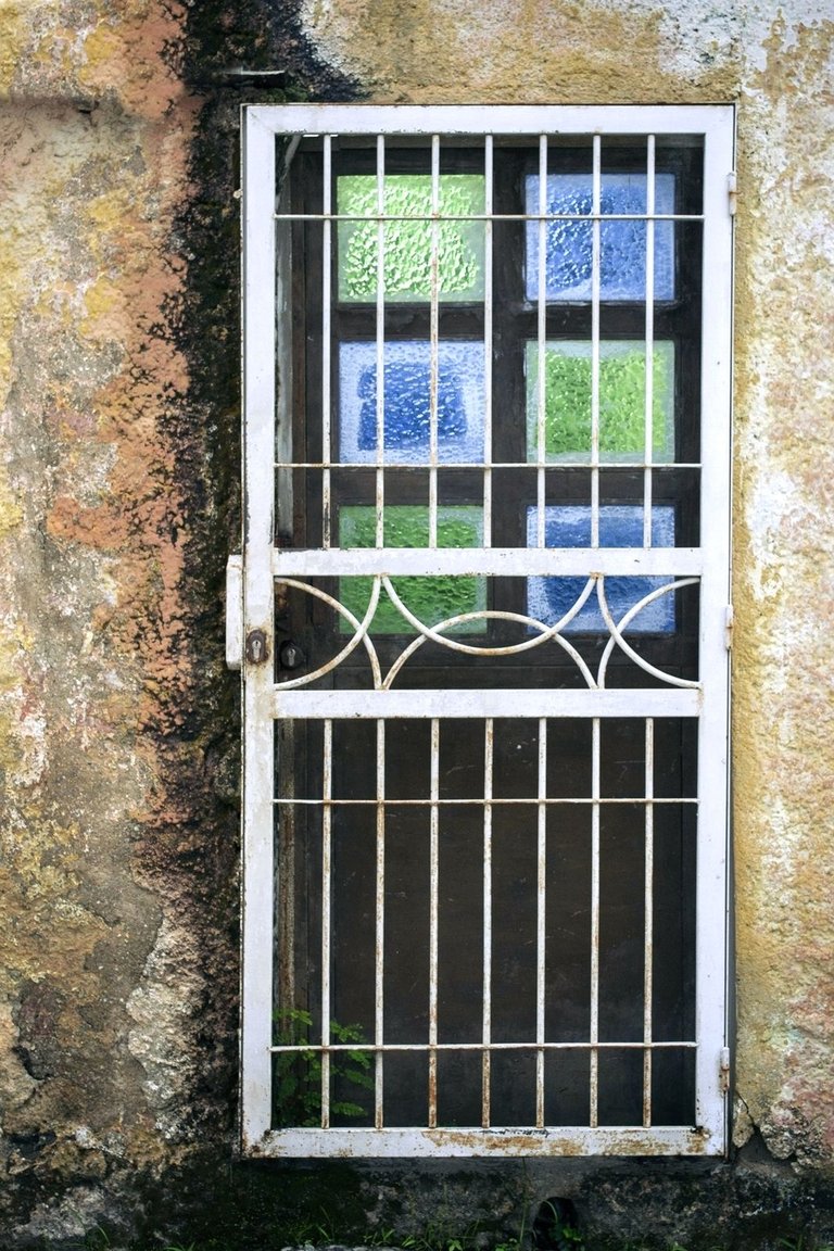 C06.jpg