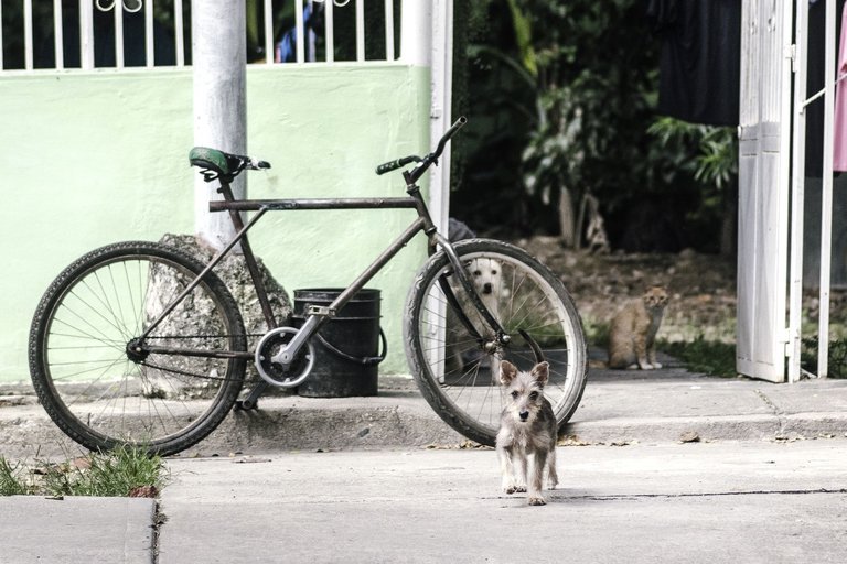 C02.jpg
