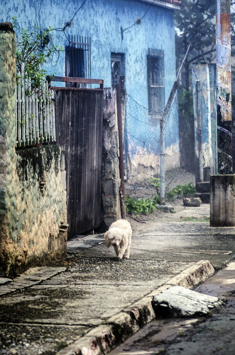 C01.jpg