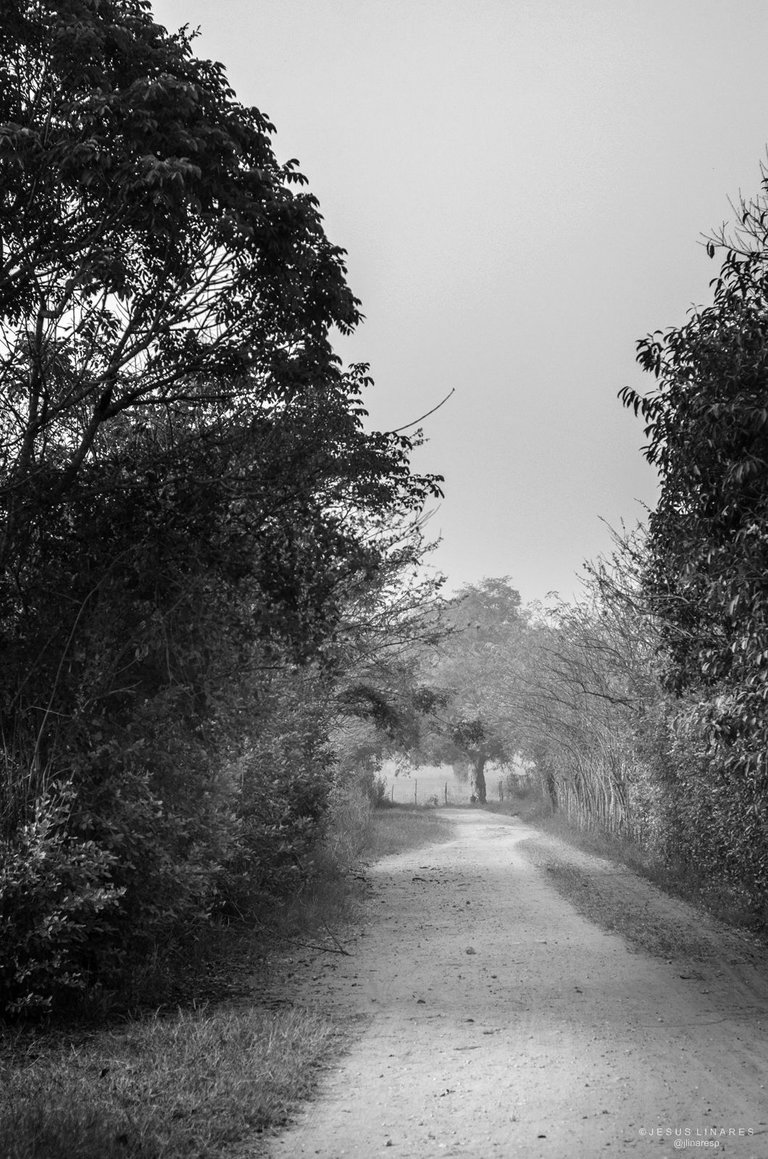 u01.jpg