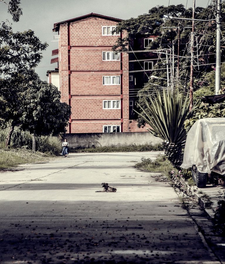 Z11.jpg
