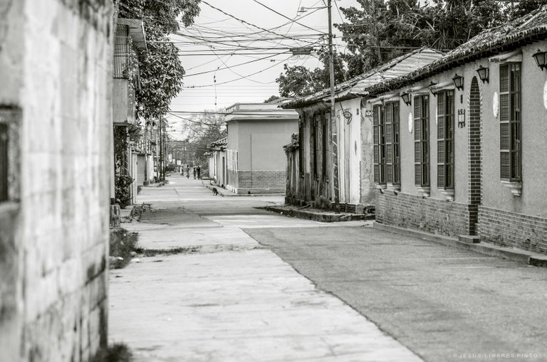 _JLP5597.jpg