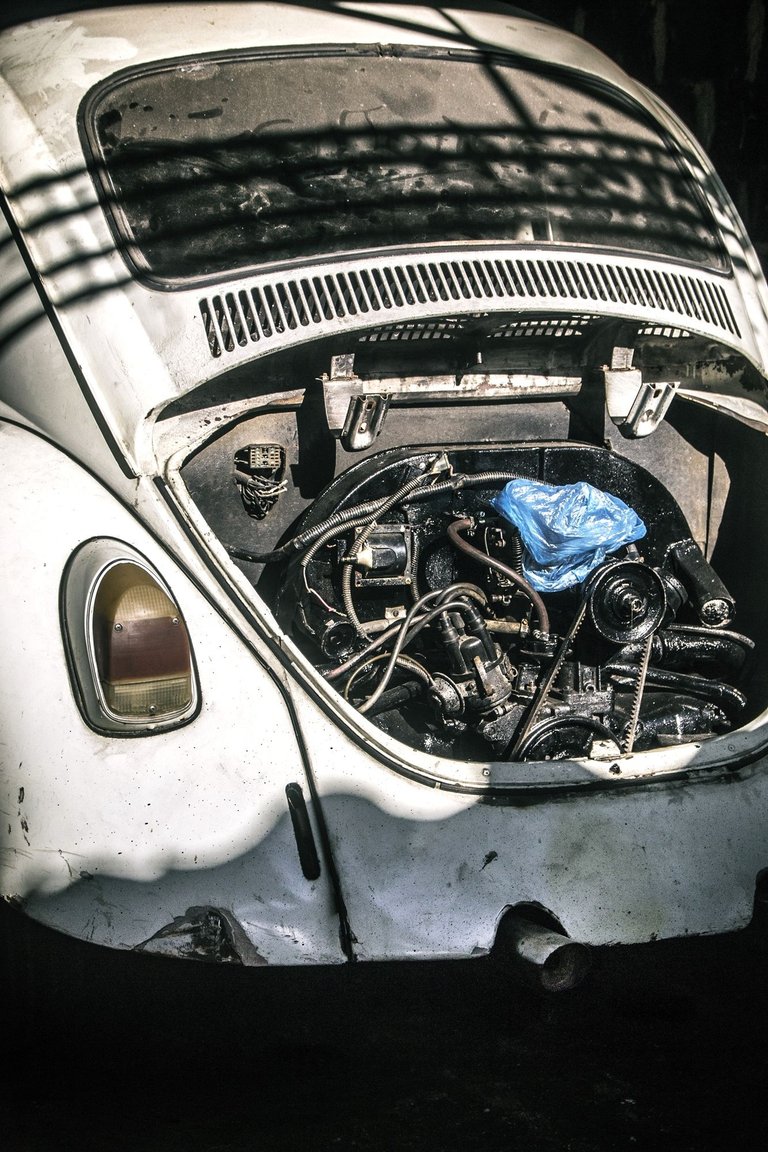 T04.jpg