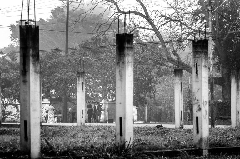 C10.jpg