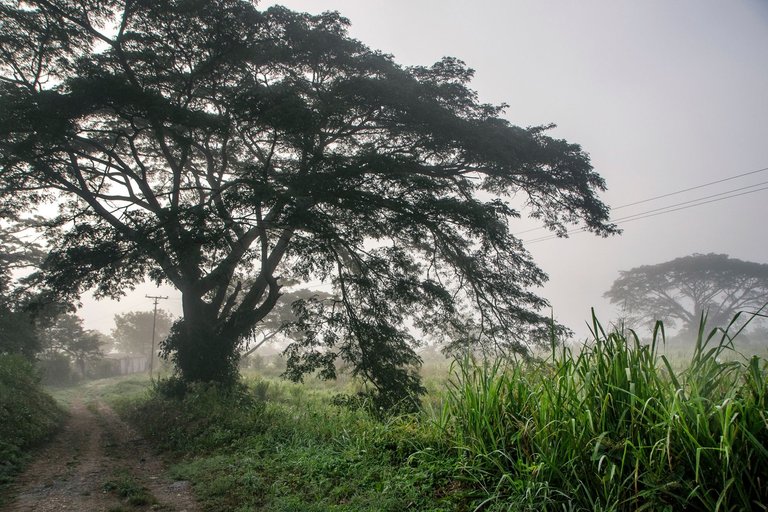 T08.jpg